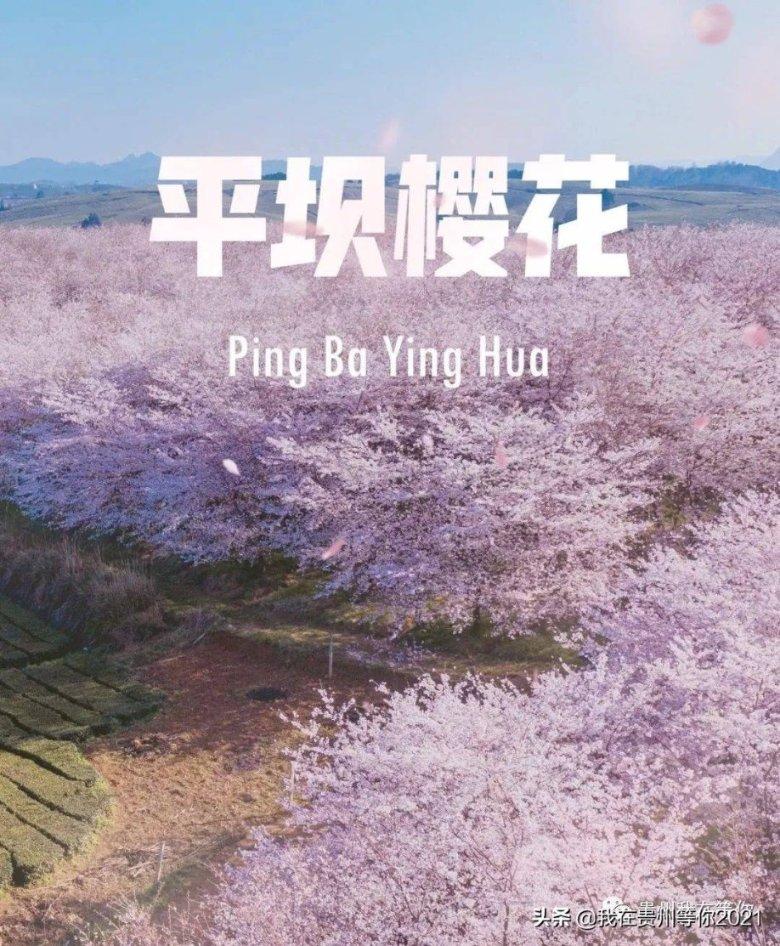 自然食品分公司系列酱腌菜春节前上市销售
